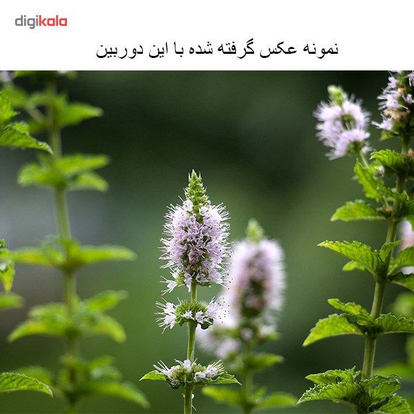 دوربین دیجیتال کانن مدل EOS 70D + 18-55 IS STM main 1 18