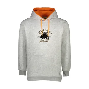 هودی مردانه آریا پارس مدل آریو-3-166