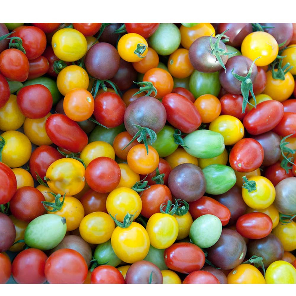 بذر گوجه گلابی و گیلاسی میکس رنگارنگ مدل GL20