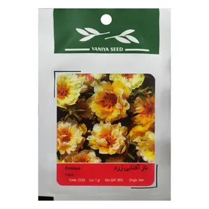 بذر گل ناز آفتابی زرد وانیا سید مدل O252