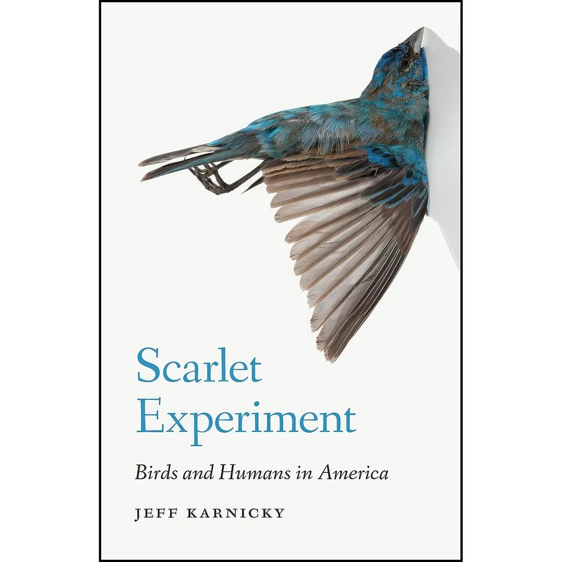 کتاب Scarlet Experiment اثر Jeff Karnicky انتشارات University of Nebraska Press