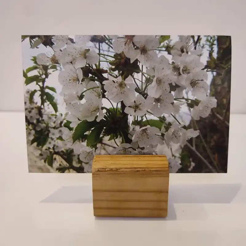 پایه نگهدارنده عکس مدل مکعبی A401 بسته 4 عددی