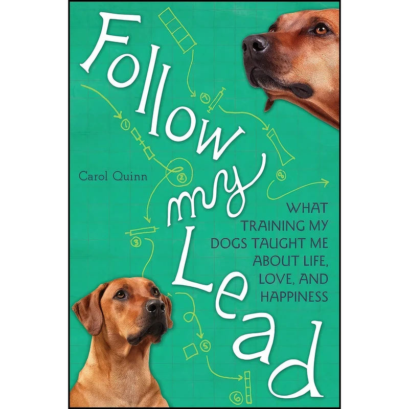 کتاب Follow My Lead اثر Carol Quinn انتشارات Seal Press