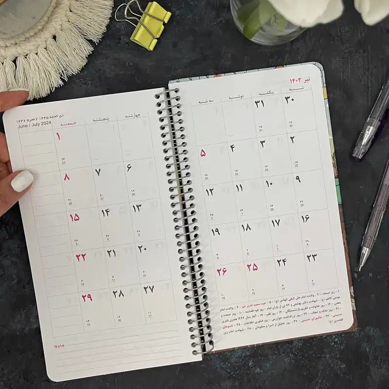 سالنامه سال 1403 دایان مدل آلیس کد 02