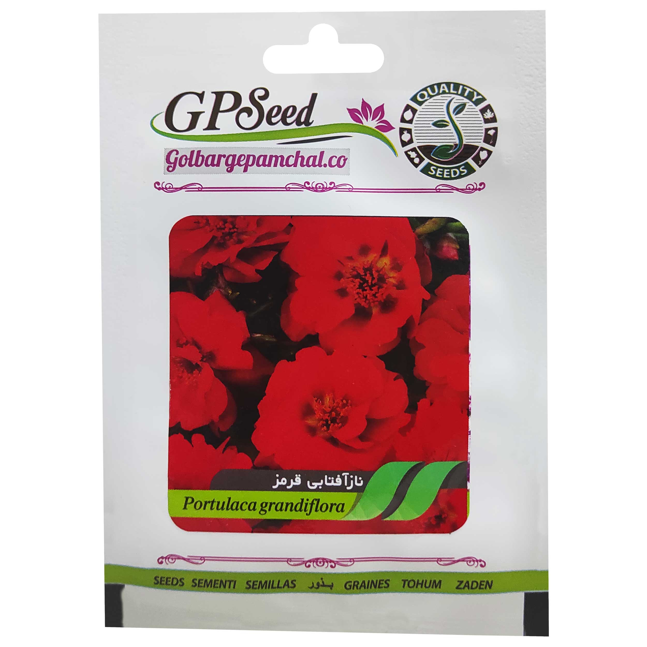 بذر گل ناز آفتابی پاکوتاه قرمز گلبرگ پامچال کد GPF-089