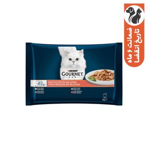 پوچ گربه گورمت مدل Perle Fine Cuts in Jelly Multipack وزن 85 گرم بسته 4 عددی