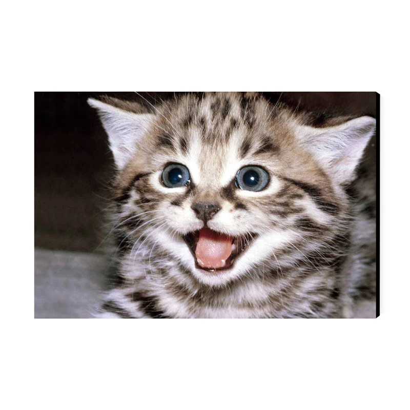 تابلو شاسی عرش مدل فانتزی گربه بامزه کد As3060