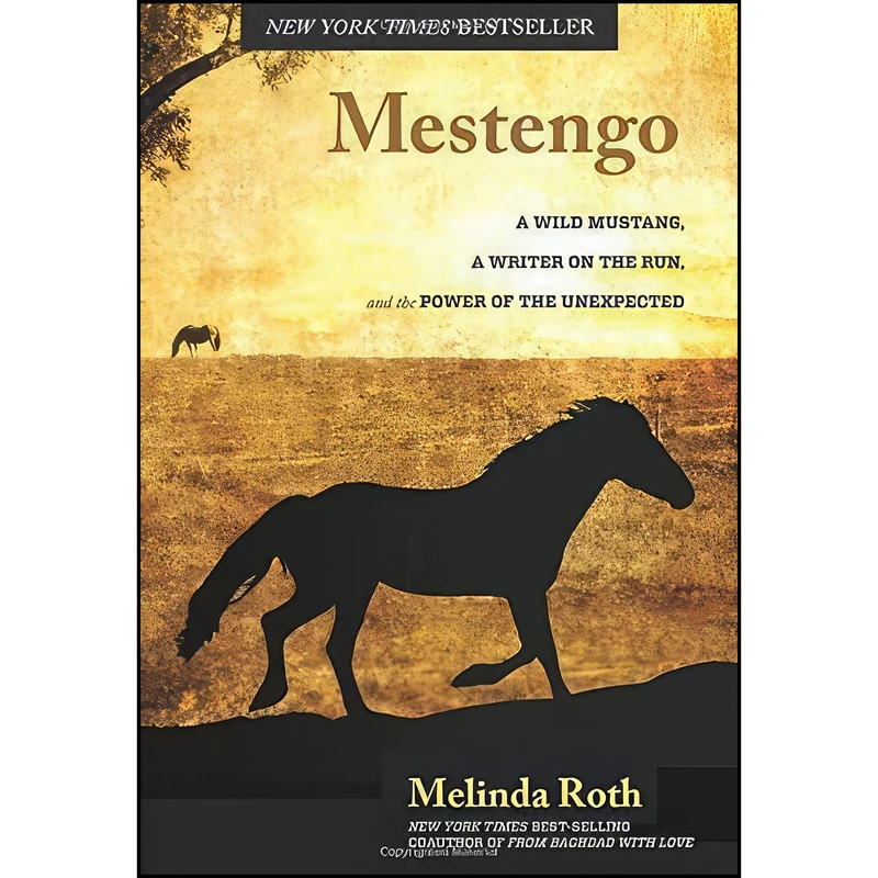 کتاب Mestengo اثر Melinda Roth انتشارات Lyons Press