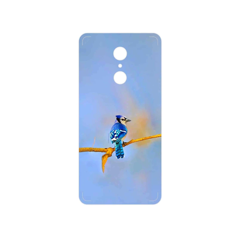 برچسب پوششی ماهوت مدل Cyanocitta cristata مناسب برای گوشی موبایل شیائومی REDMI 5