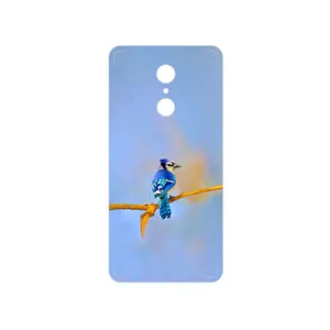 MAHOOT Cyanocitta cristata Cover Sticker for Xiaomi REDMI 5