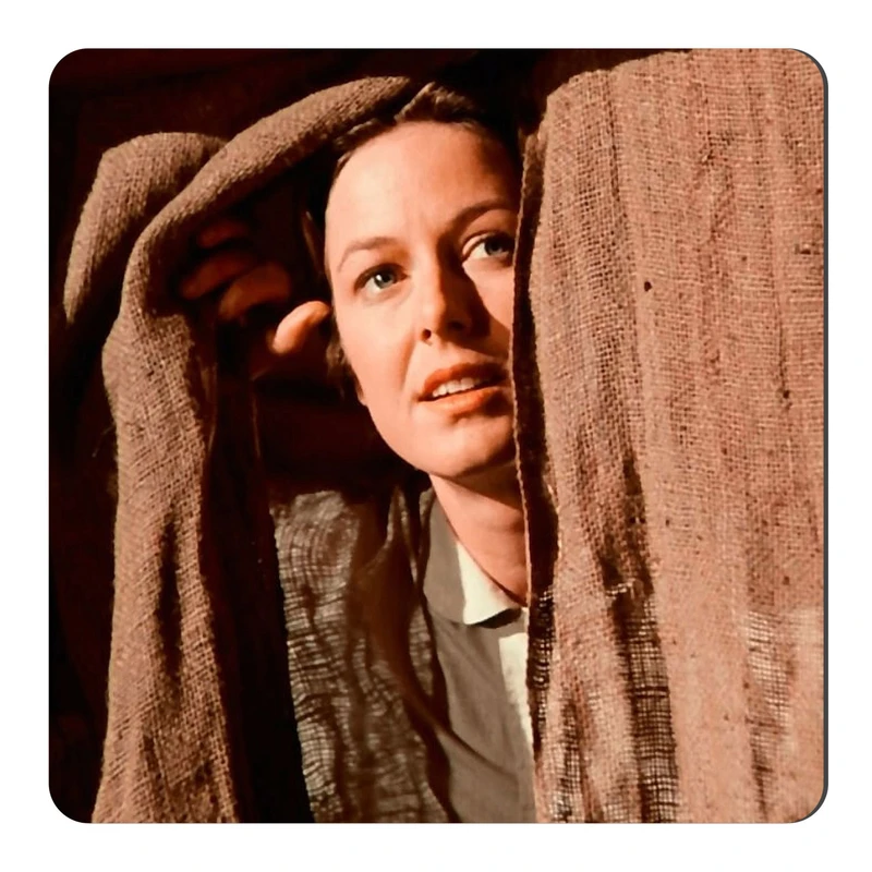  مگنت طرح سریال خانه کوچک کد NIM1370 