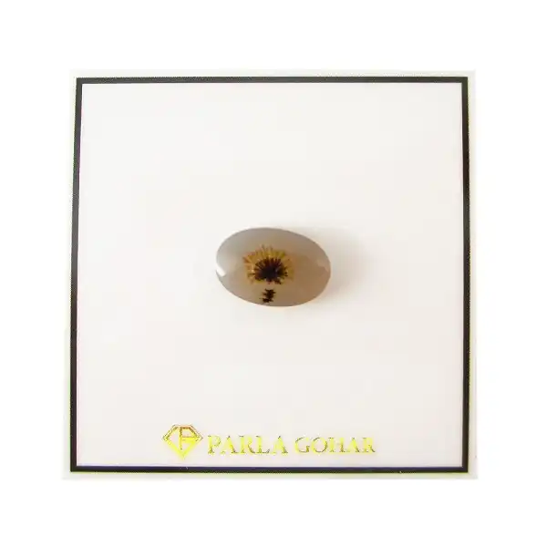 سنگ شجر پارلا گوهر کد 5084