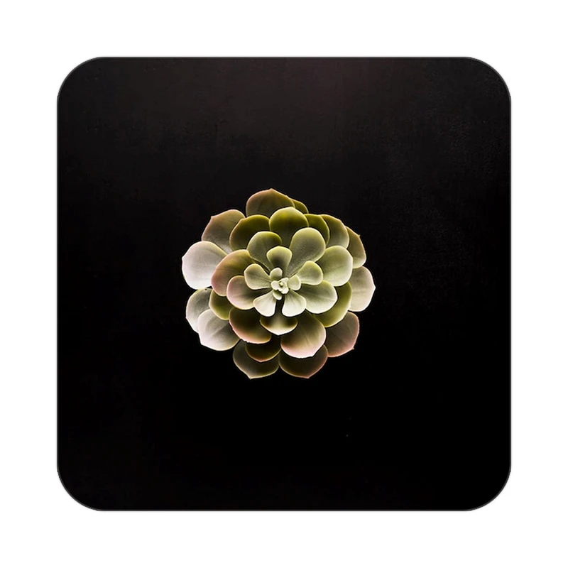 زیر لیوانی کاکتی طرح گل مدل mp17871