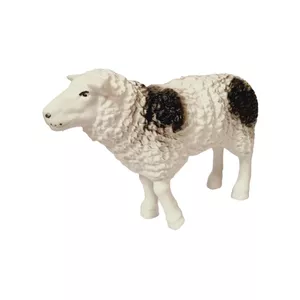 فیگور مدل گوسفند
