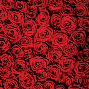 کاغذ کادو  کد 117 بسته 25 عددی