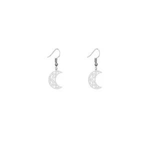 گوشواره نقره زنانه هایکا طرح ماه و گل مدل n.ha625