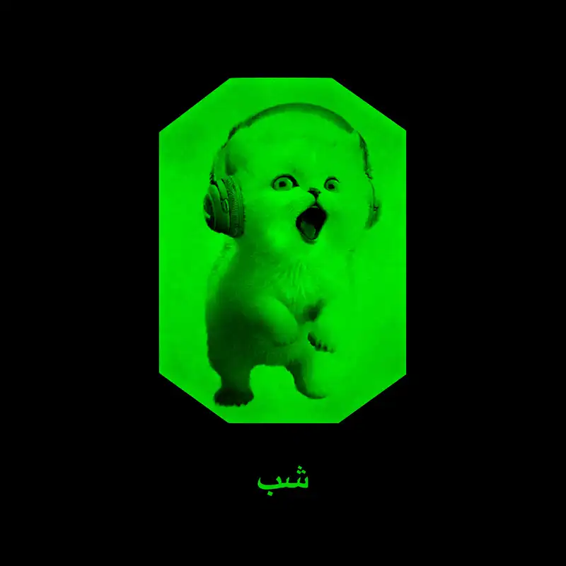 گردنبند مدل شب تاب D6