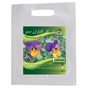 بذر گل بنفشه الوان گلباران سبز