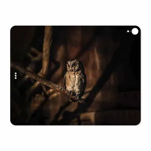 MAHOOT Owl Cover Sticker for Apple iPad Pro 12.9 GEN 3 2018 A1876