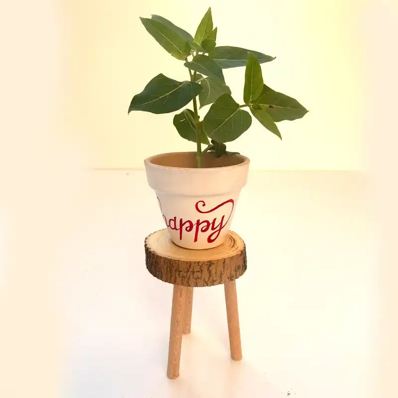 گلدان سفالی مدل یاقوت four happy کد 4