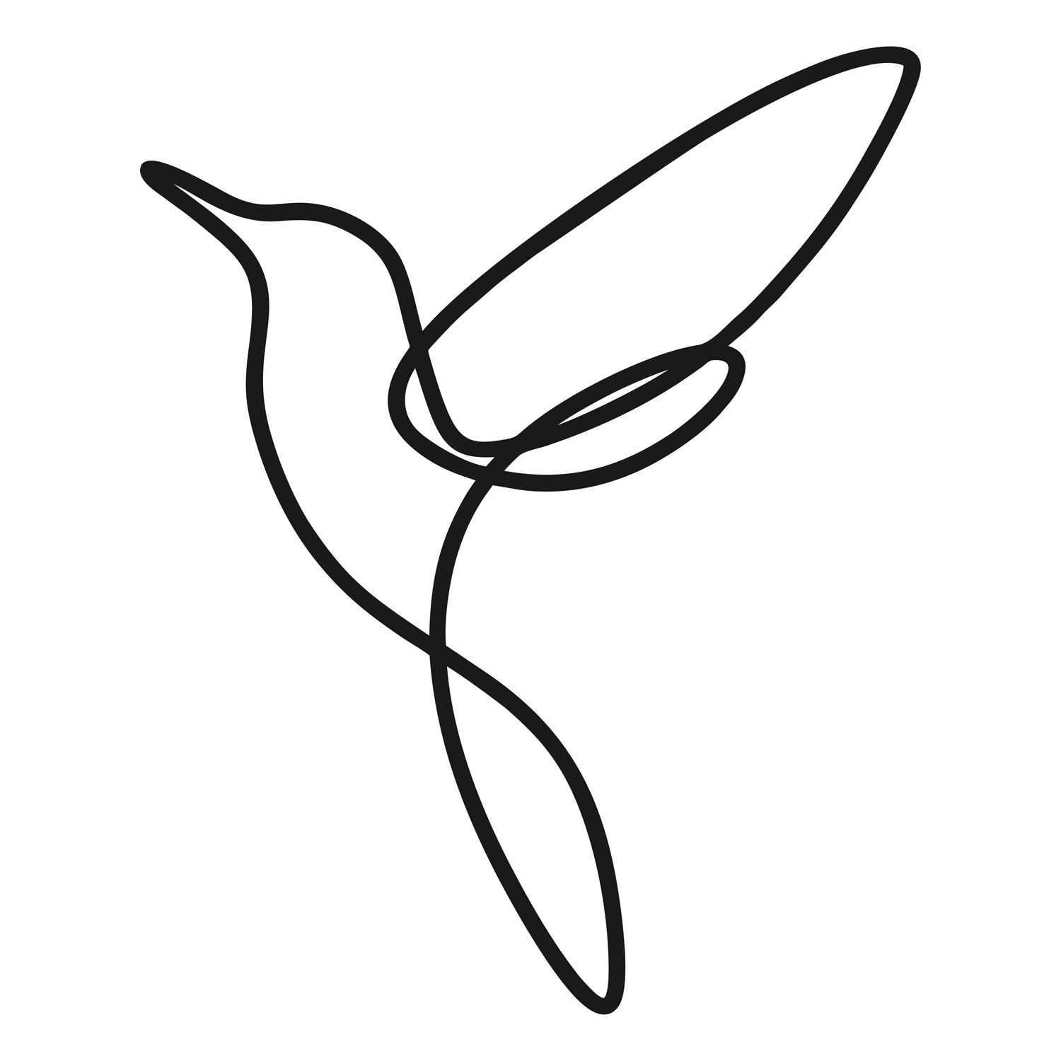 دیوارکوب مدل مرغ مگس خوار