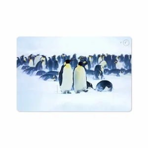 MAHOOT Penguin Cover Sticker for Huawei Mediapad M6 10.8 2019