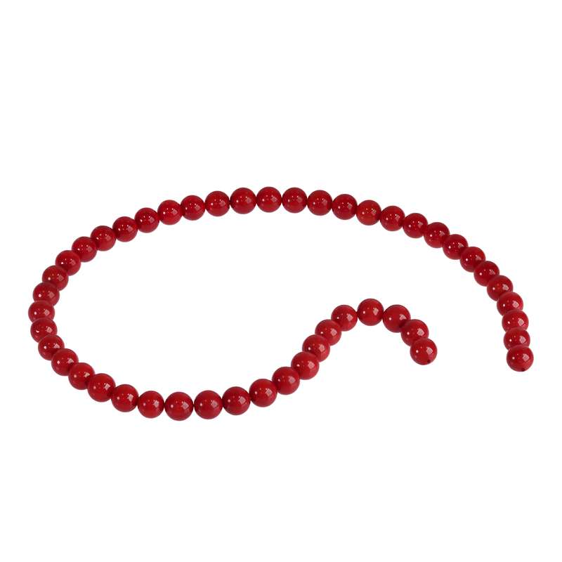 ریسه سنگ مرجان اقلیمه کد B263