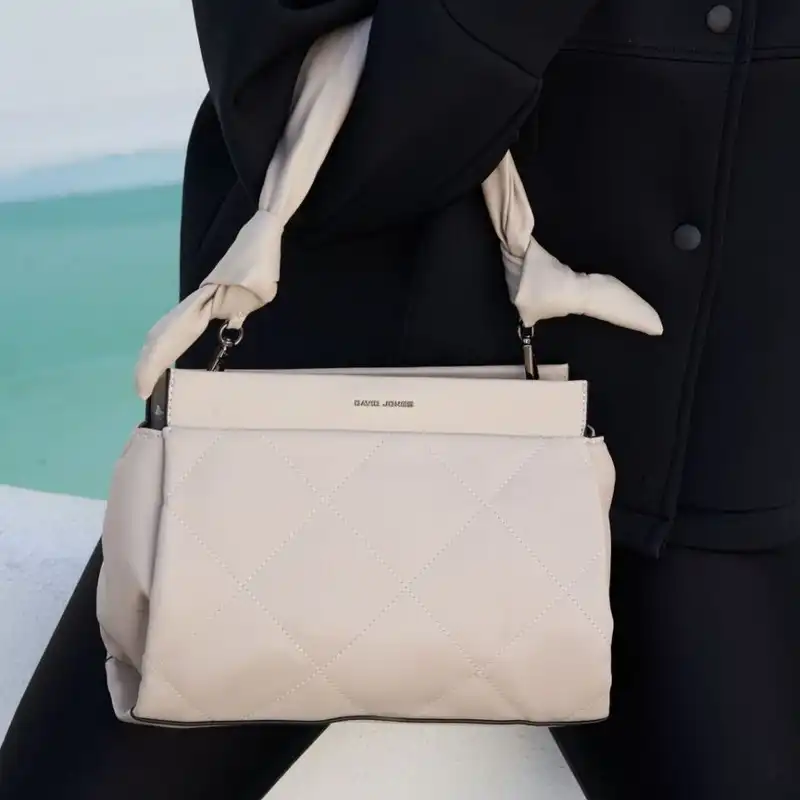 کیف دستی زنانه دیوید جونز مدل 6661-2