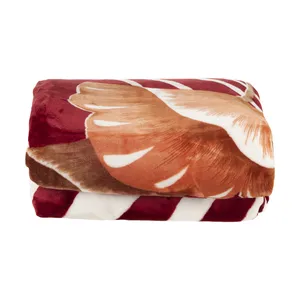 پتو برتر گلبافت کد 299-4 سایز 220 × 160 سانتی متر