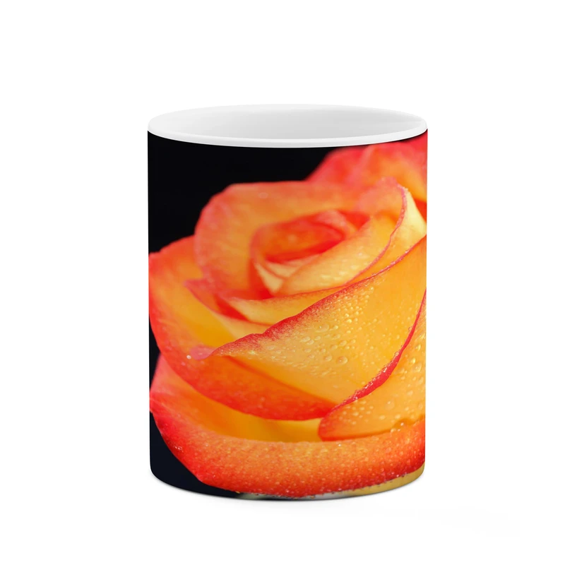 ماگ کاکتی مدل گل رز کد mgh18045