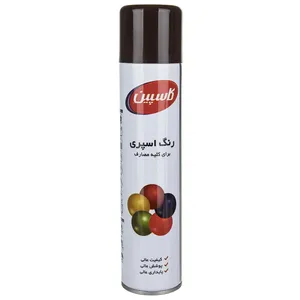 Caspian Dark Brown Paint Spray 295gr