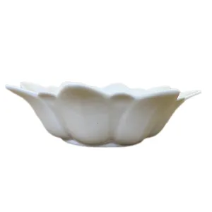 کاسه مدل خورشیدی