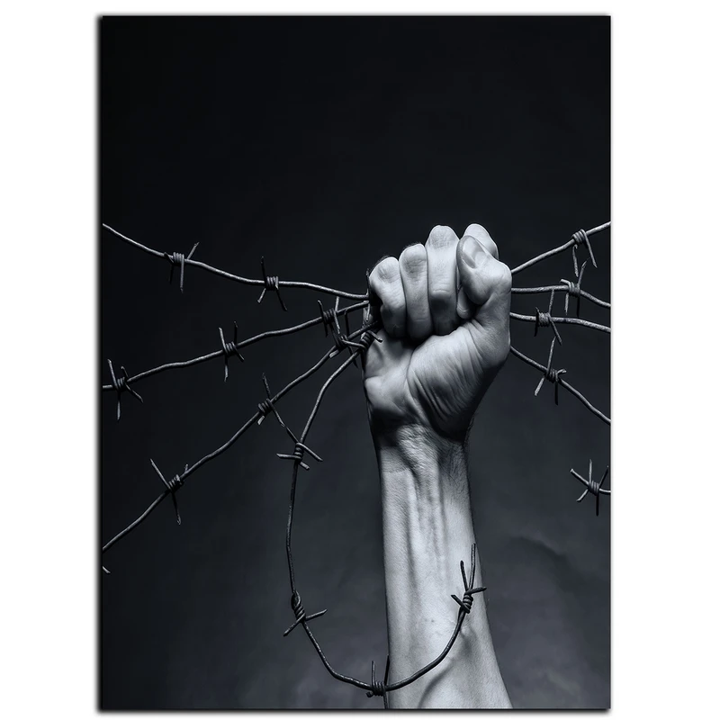 تابلو شاسی بکلیت طرح پیروزی مدل SH-s888