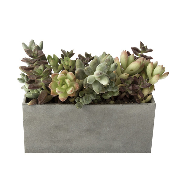 گلدان دکوسیتی کد dco44