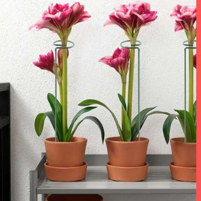 نگهدارنده گیاه مدل نیلوفری کد a-789 بسته چهار عددی