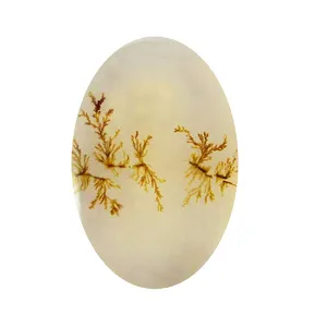 سنگ شجر پارلا گوهر کد 5149