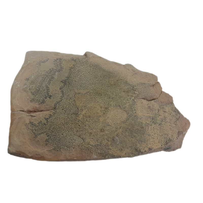 سنگ راف شجر مدل کلکسیونی کد 153