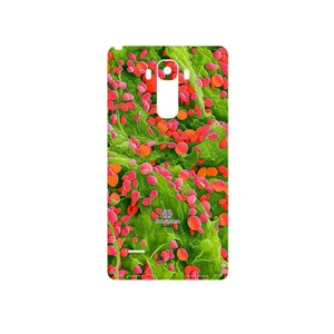 MAHOOT Atom Universe 3 Cover Sticker for LG G4 Stylus