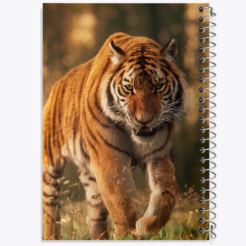 دفتر نت موسیقی 50 برگ خندالو مدل ببر کد F586