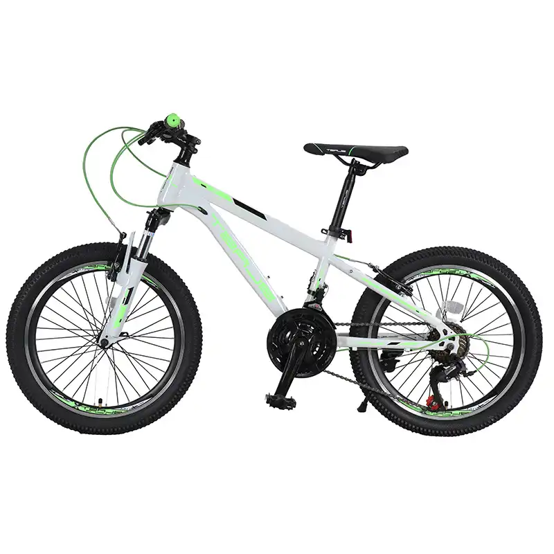 دوچرخه کوهستان بلست مدل Sky سایز 20