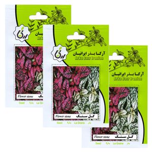 بذر گل سنگ آرکا بذر ایرانیان کد 162-ARK مجموعه 3 عددی