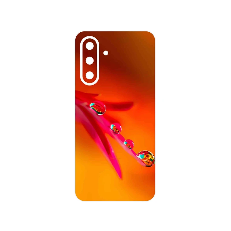 برچسب پوششی ماهوت مدل Plant dew مناسب برای گوشی موبایل سامسونگ Galaxy A36