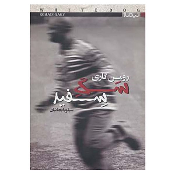 کتاب کتاب دیگران22 اثر رومن گاری کتاب کتاب دیگران22 اثر رومن گاری