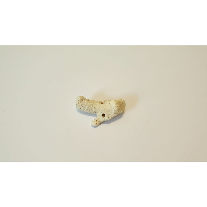 مرجان تزیینی آکواریوم مدل lde32 مجموعه 5 عددی