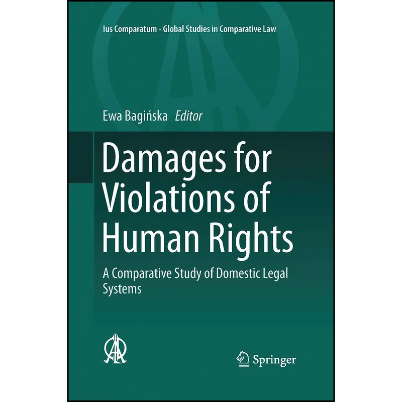 کتاب Damages for Violations of Human Rights اثر Ewa Baginska انتشارات Springer