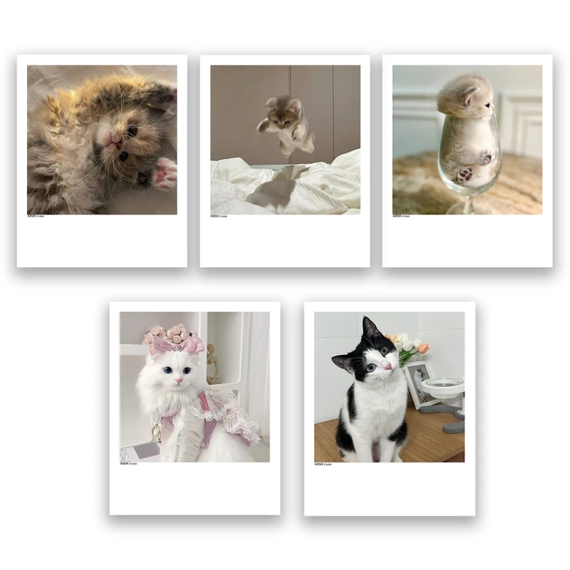 آویز تزیینی عرش مدل فانتزی گربه بامزه کد Asa298 مجموعه پنچ عددی 