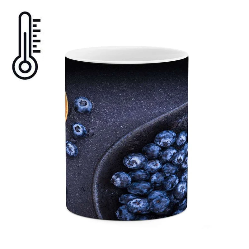 ماگ حرارتی کاکتی مدل میوه کد mgh17297