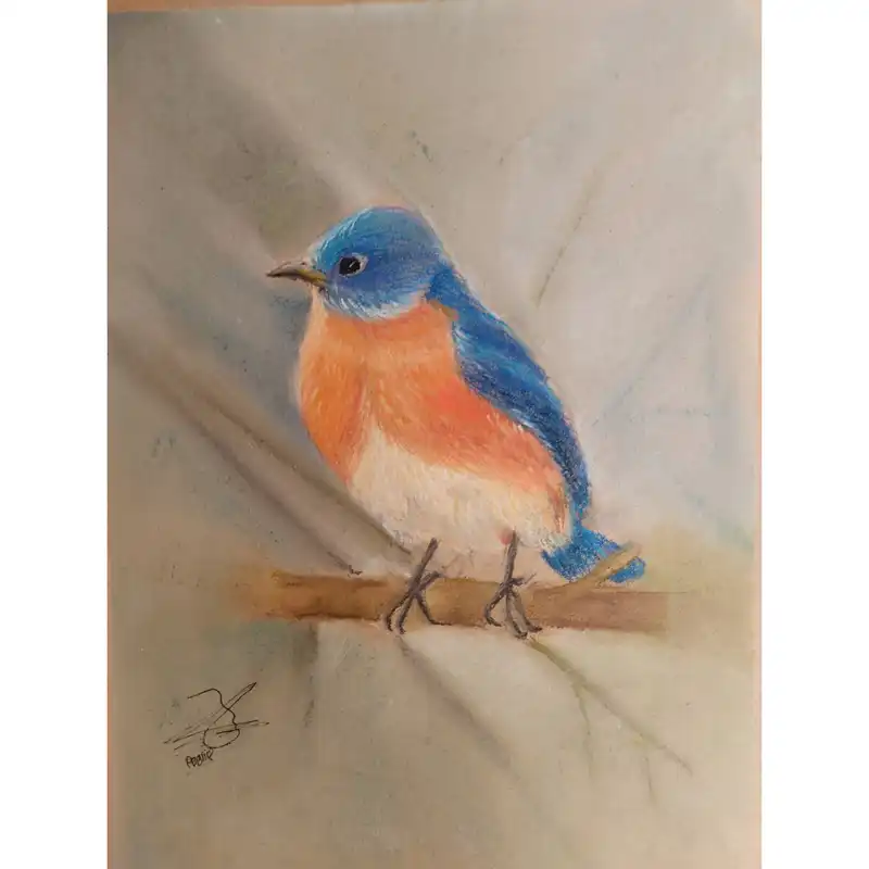 نقاشی پاستل گچی مدل گنجشک