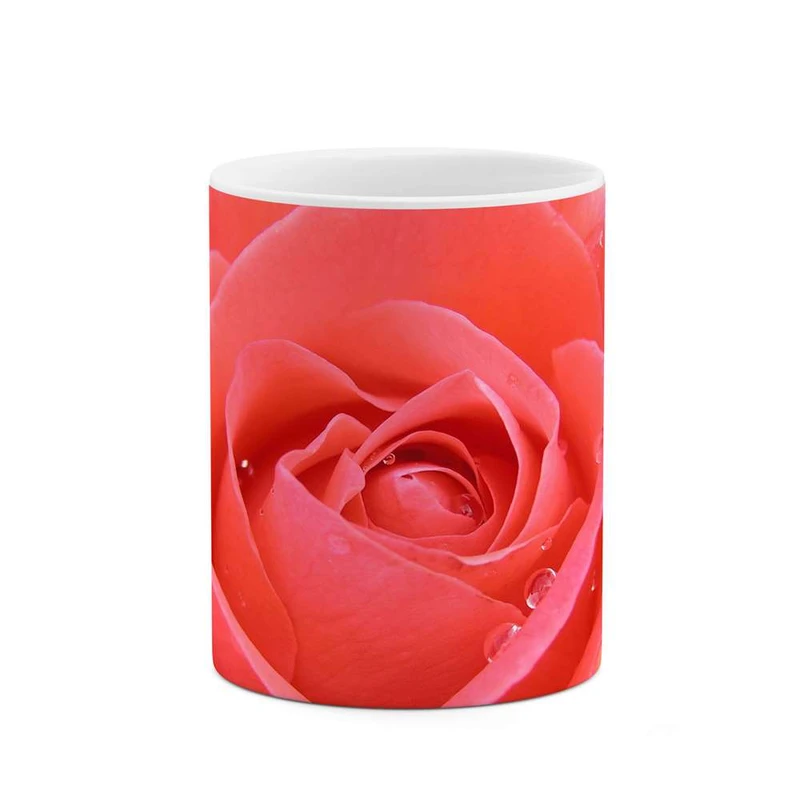 ماگ کاکتی مدل گل رز کد mgh12017