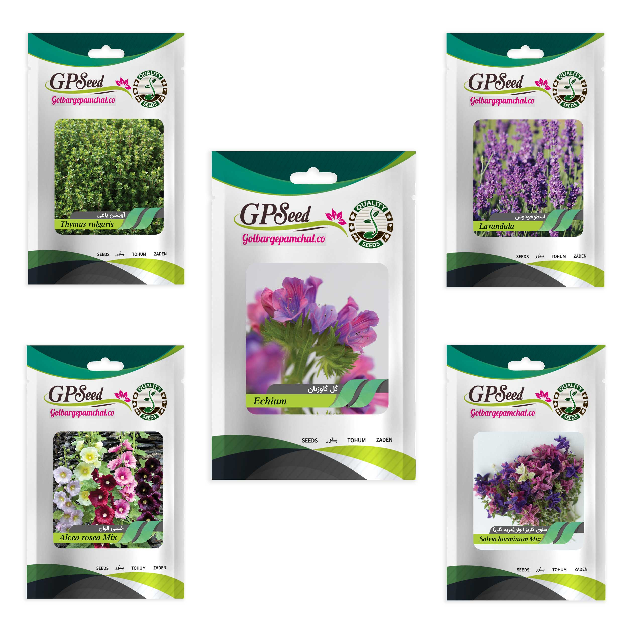 بذر گیاهان دارویی پرمصرف گلبرگ پامچال کد G-P-GP-05 مجموعه 5 عددی